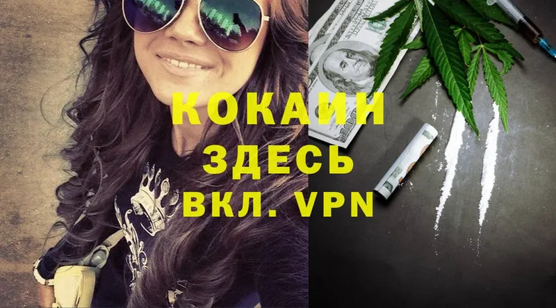 площадка Telegram  Собинка  Cocaine VHQ  купить закладку 