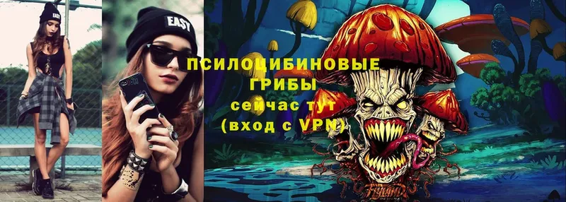 Псилоцибиновые грибы Psilocybe  Собинка 